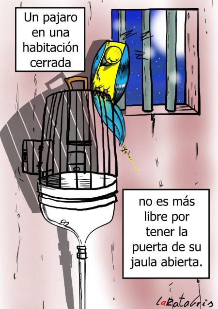 animales liberados